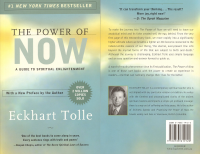 The Power of Now.pdf